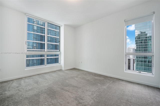 spare room featuring carpet floors