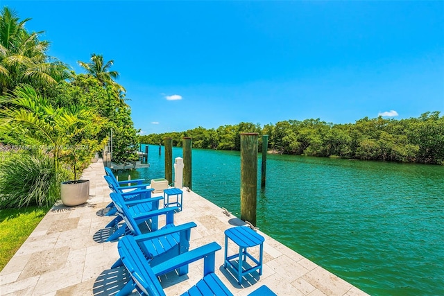 dock area featuring a water view