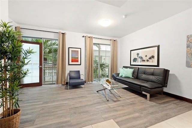 living room with light hardwood / wood-style flooring and floor to ceiling windows