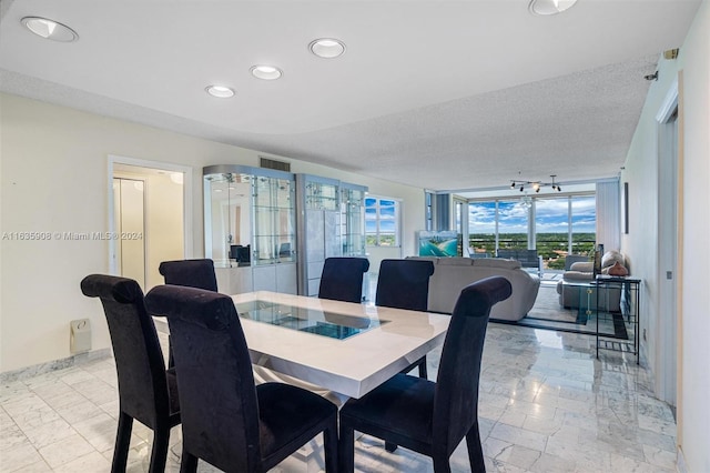 dining room with a textured ceiling and plenty of natural light