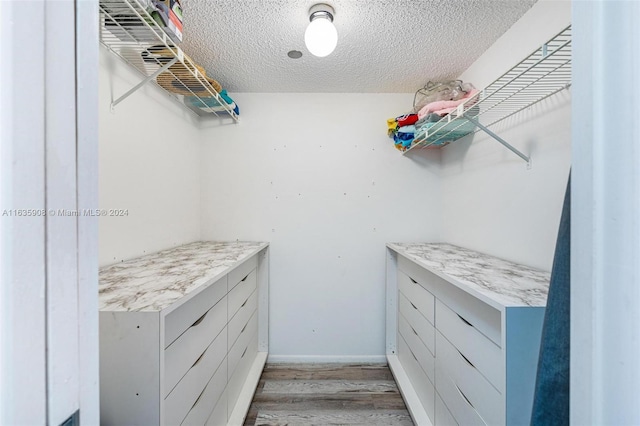 spacious closet featuring light hardwood / wood-style flooring