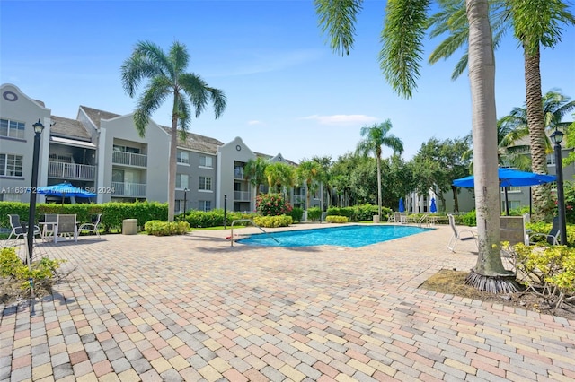 view of swimming pool with a patio area