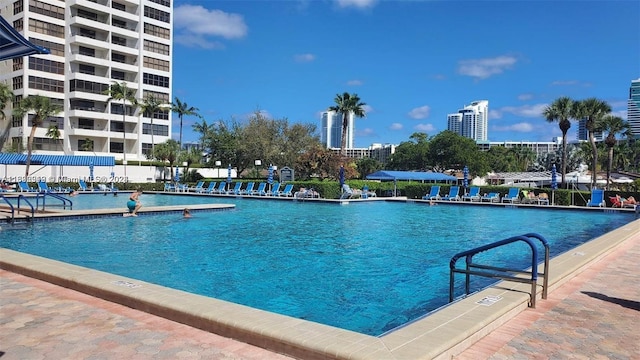 view of swimming pool