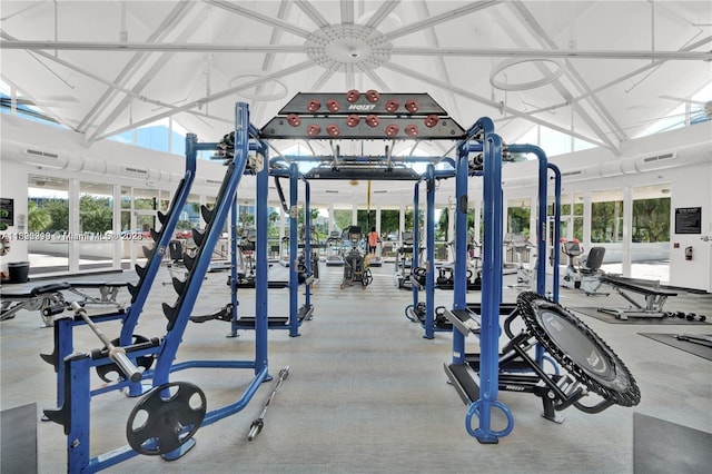 workout area with high vaulted ceiling