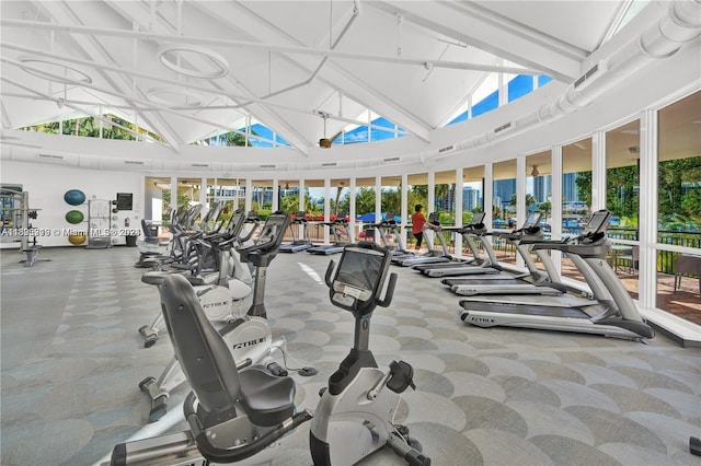 gym with high vaulted ceiling and a healthy amount of sunlight