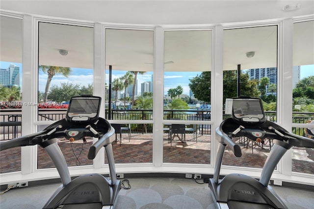 workout area with carpet flooring