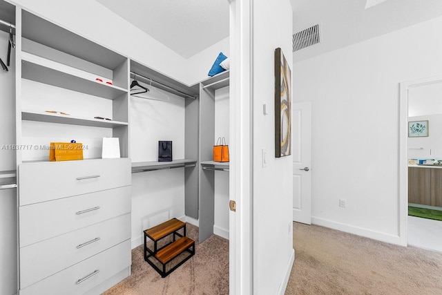 spacious closet with light colored carpet