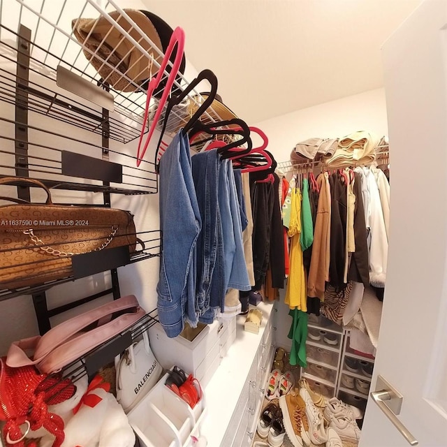 view of spacious closet