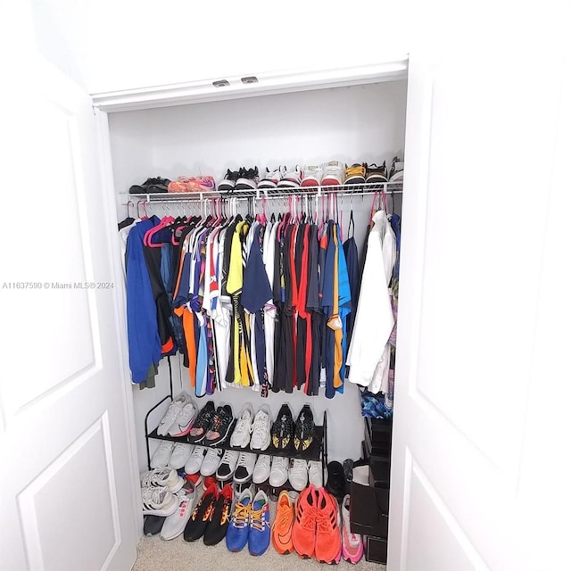 view of closet