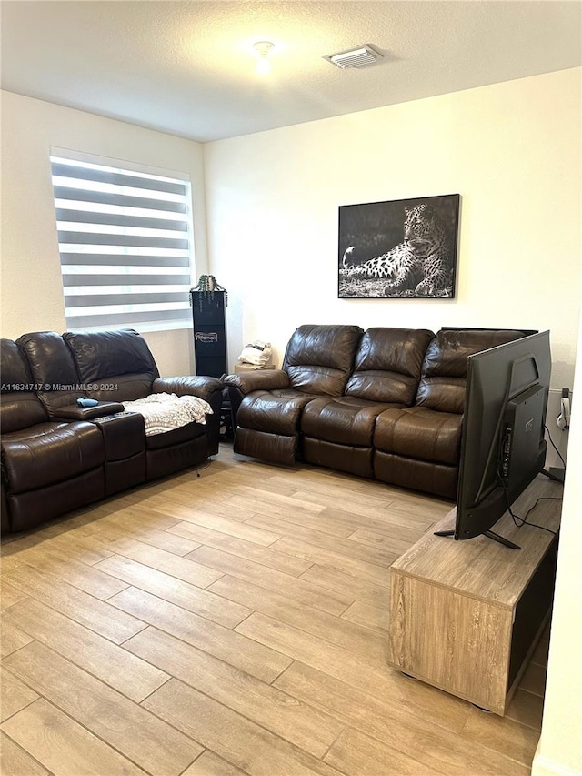 living room featuring light hardwood / wood-style flooring