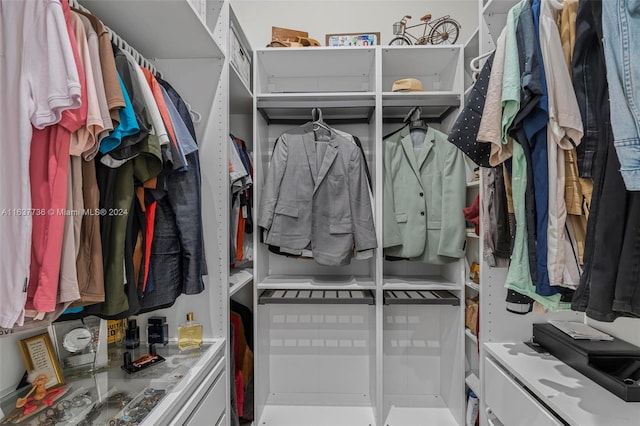 view of spacious closet