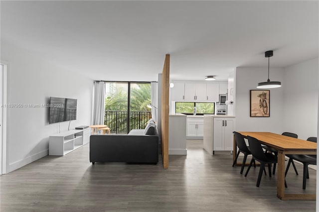 living room featuring hardwood / wood-style flooring