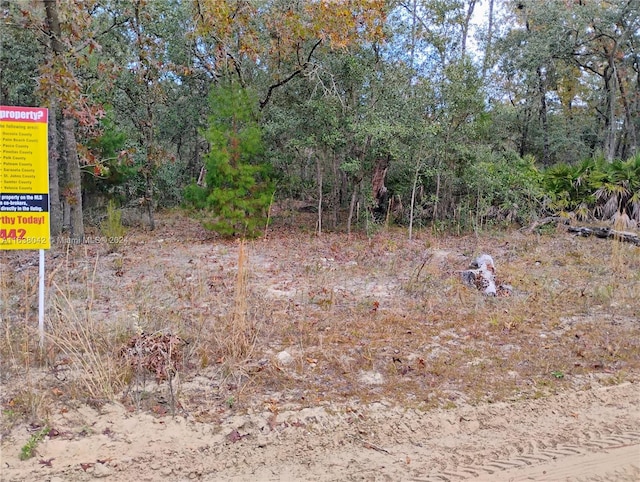 244 Thompson, Palatka FL, 32148 land for sale