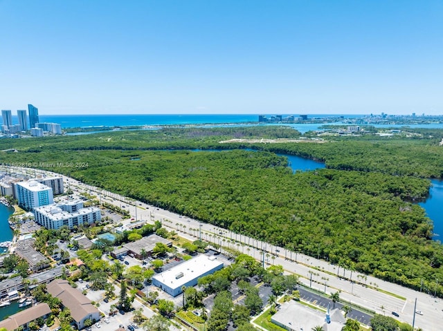 bird's eye view featuring a water view