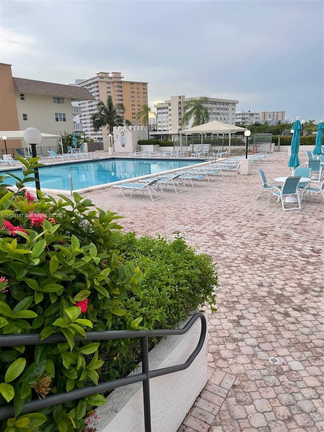 view of swimming pool featuring a patio