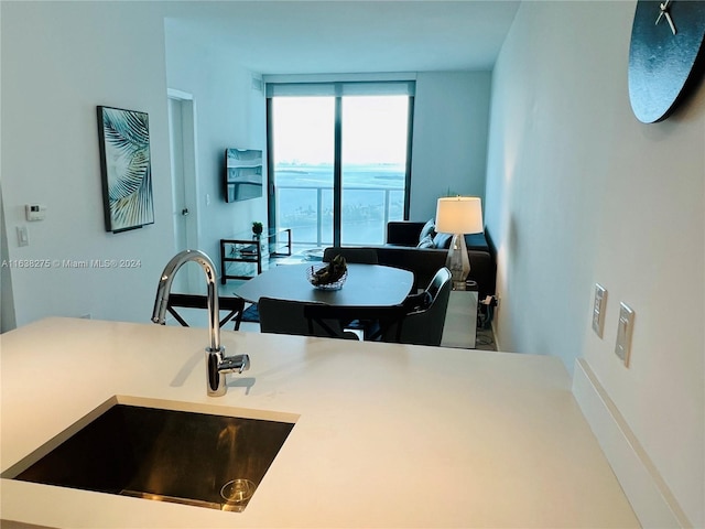 kitchen with sink and a wall of windows