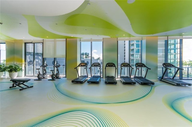 exercise room featuring a wall of windows