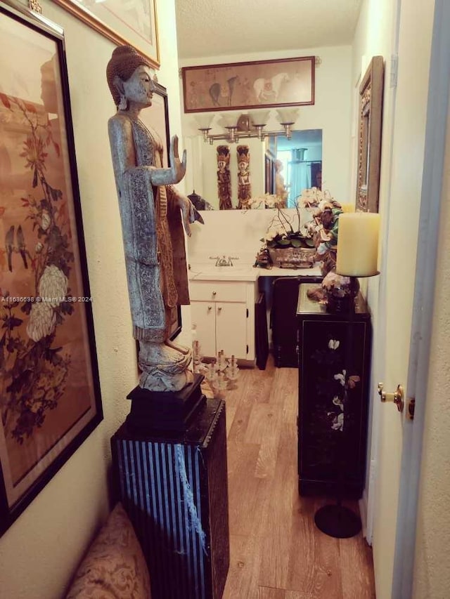 hallway with sink and light hardwood / wood-style floors