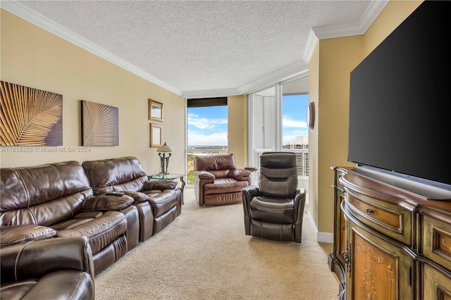 living room with light carpet, ornamental molding, and a textured ceiling