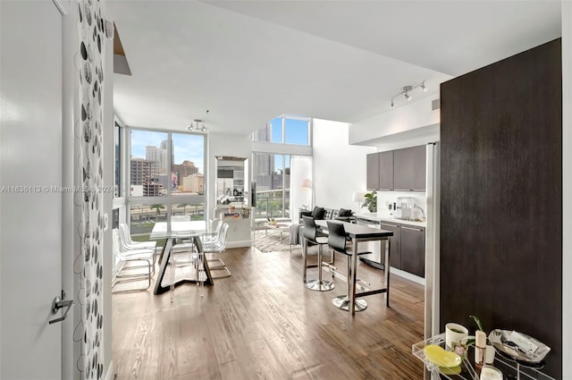 kitchen featuring wood finished floors, light countertops, rail lighting, expansive windows, and a view of city