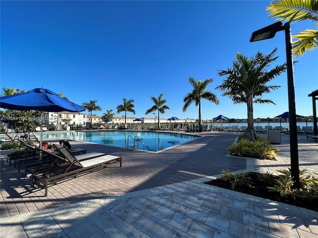 view of pool featuring a patio