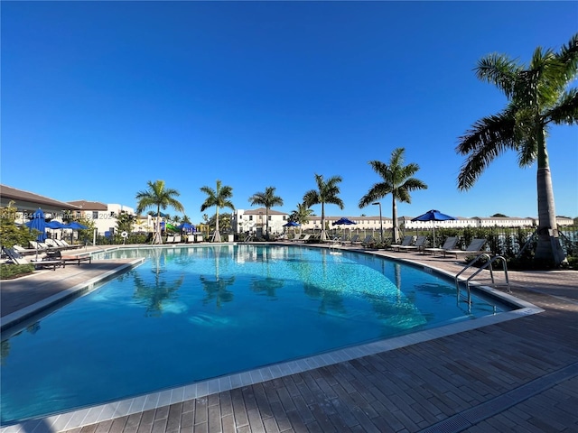 view of swimming pool