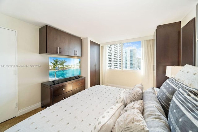 bedroom with light colored carpet