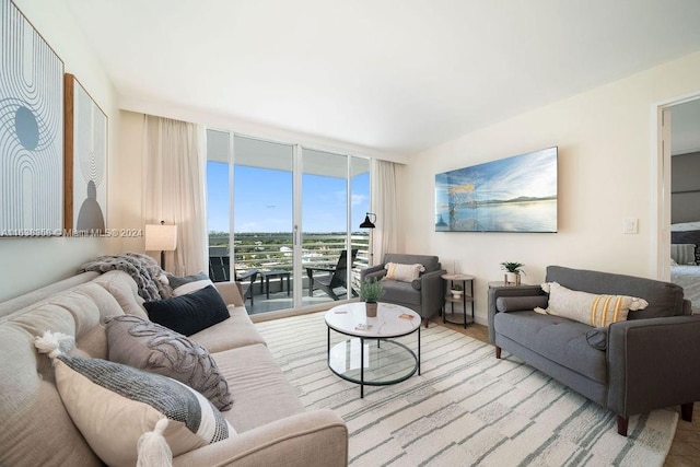 living room with light hardwood / wood-style flooring and expansive windows