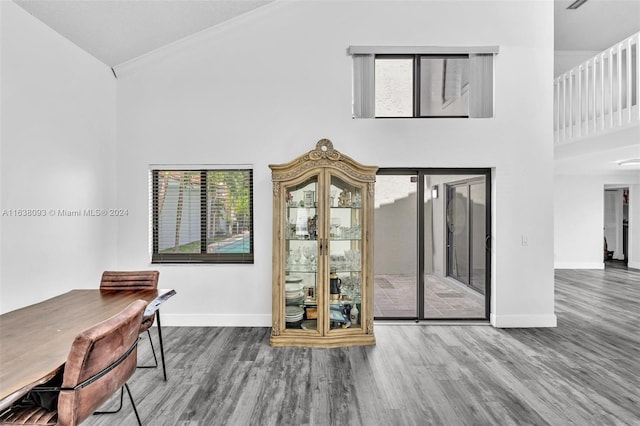 interior space with hardwood / wood-style floors and high vaulted ceiling