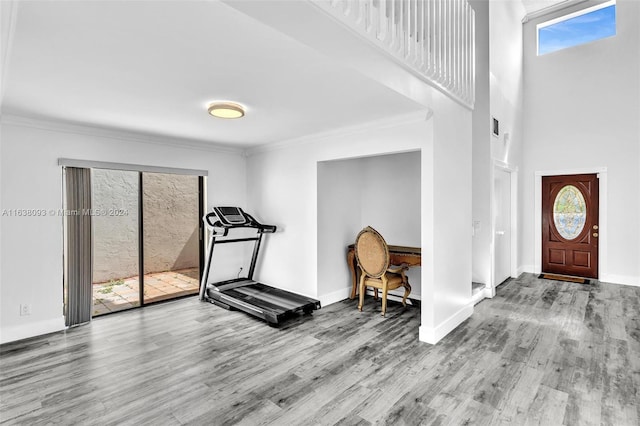 foyer with a towering ceiling and wood-type flooring