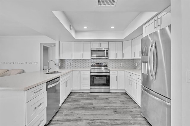 kitchen with light hardwood / wood-style flooring, appliances with stainless steel finishes, kitchen peninsula, a tray ceiling, and sink