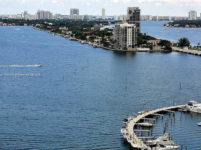 water view featuring a view of city and a dock