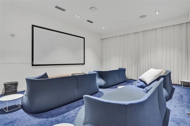 view of carpeted home theater