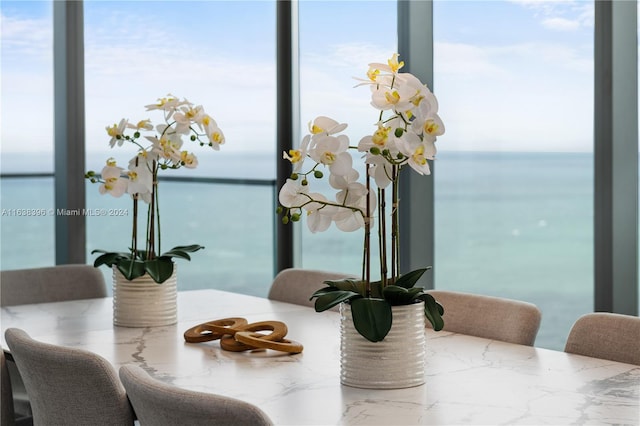 dining area featuring a water view and plenty of natural light