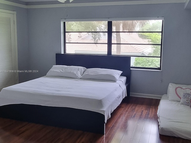 bedroom featuring dark wood-type flooring