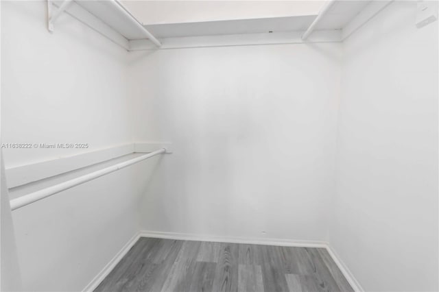 walk in closet featuring wood-type flooring