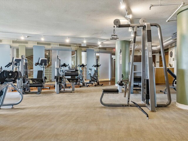 exercise room featuring light colored carpet and rail lighting