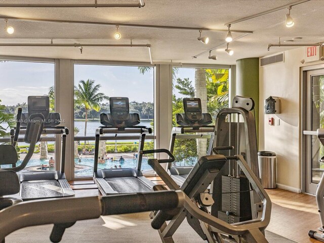 gym with track lighting, a wealth of natural light, a textured ceiling, and light wood-type flooring