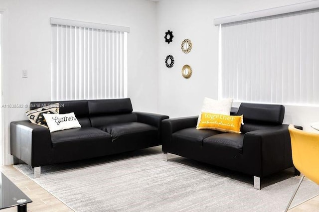 living room featuring hardwood / wood-style flooring