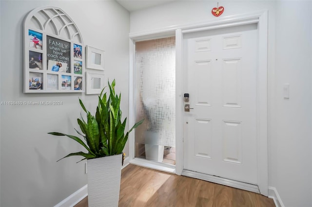 entrance foyer featuring hardwood / wood-style flooring