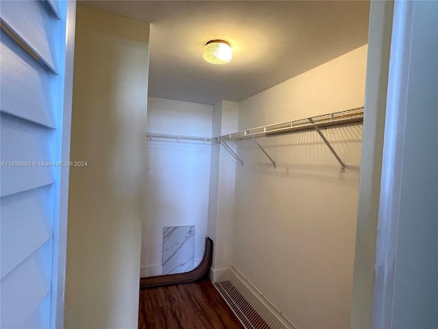 walk in closet with dark wood-type flooring