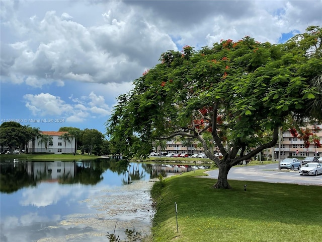 water view