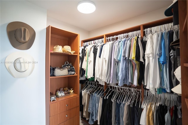 view of spacious closet