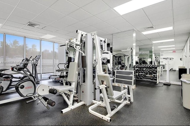 gym featuring floor to ceiling windows and a drop ceiling