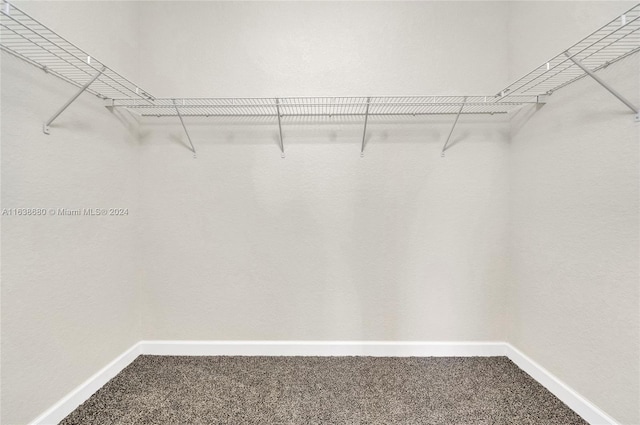 spacious closet with carpet