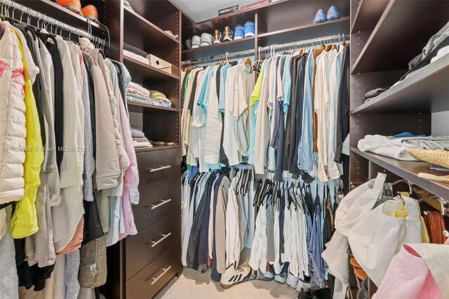 view of spacious closet