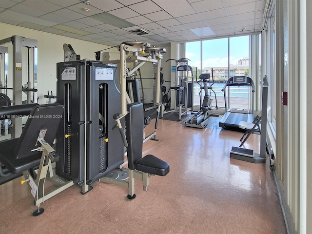 gym featuring a wall of windows and a paneled ceiling