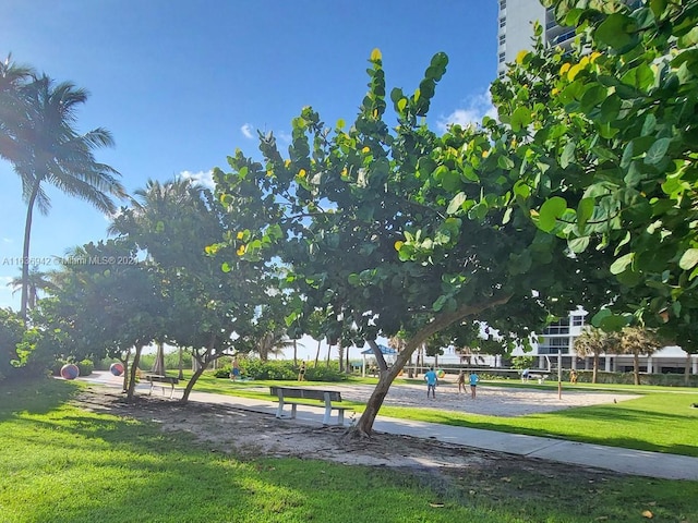 1825 S Ocean Dr Unit 206, Hallandale Beach, FL 33009 - surrounding community featuring a lawn