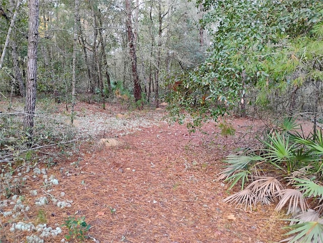 Listing photo 3 for 309 Wilson, Palatka FL 32148