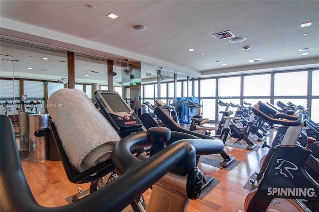 gym featuring hardwood / wood-style flooring and a healthy amount of sunlight